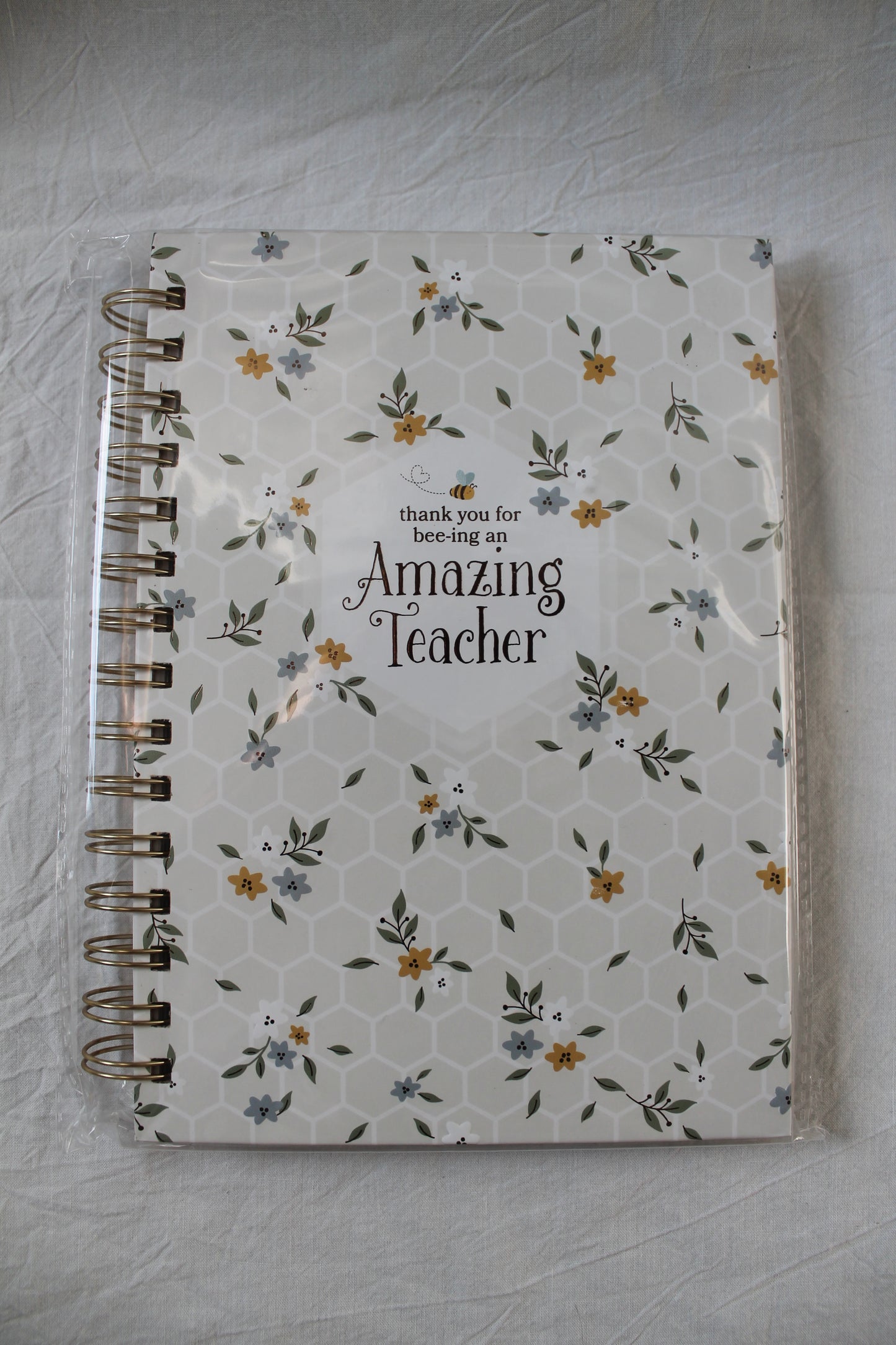 Amazing Teacher Spiral